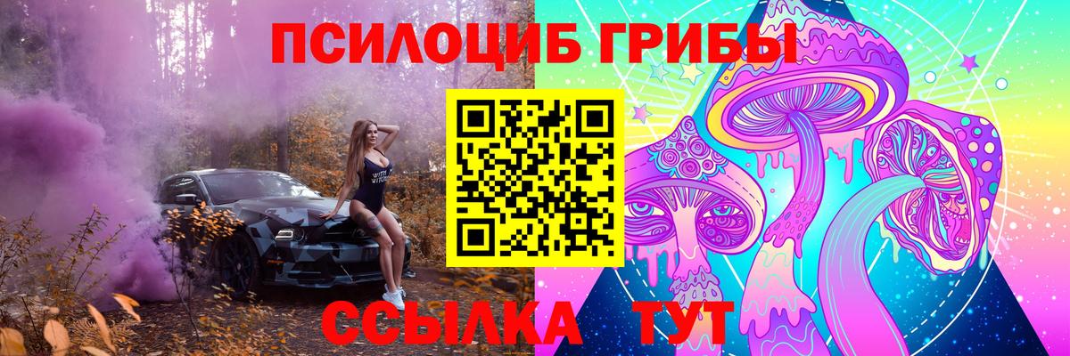 Бугуруслан  магазин продажи   Вход с VPN  Псилоцибиновые грибы Psilocybine cubensis 